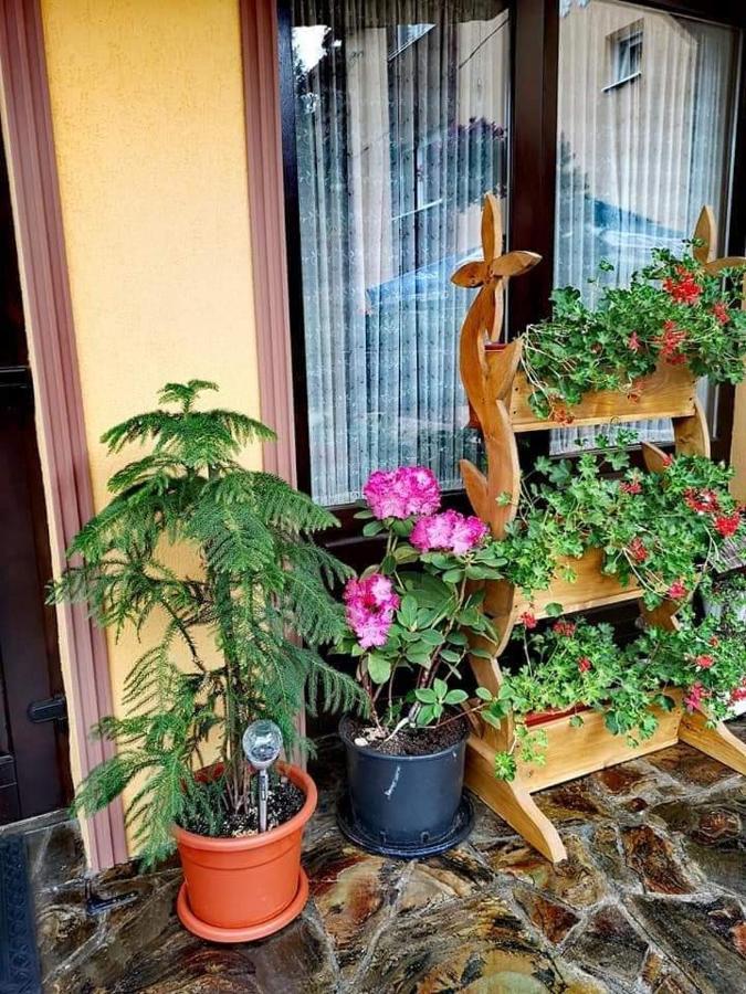 Pensiunea Gianina Arieşeni Extérieur photo