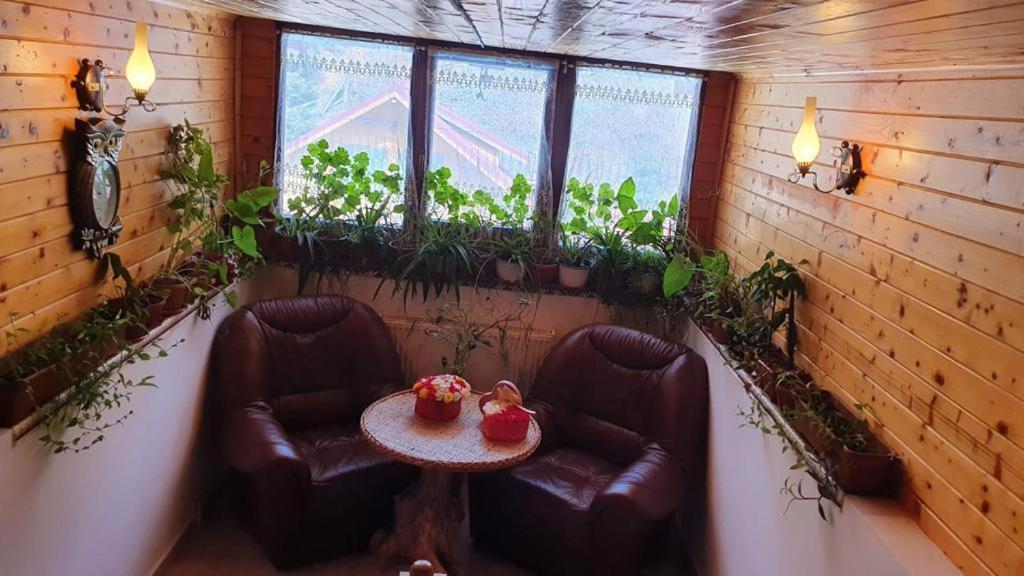 Pensiunea Gianina Arieşeni Extérieur photo
